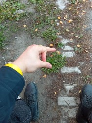 JPG Image, 1115KB, 1505px × 2000px