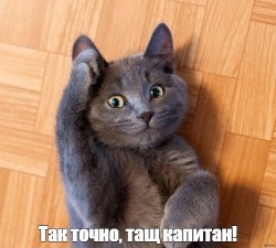 JPG Image, 71KB, 500px × 450px