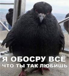JPG Image, 76KB, 549px × 600px