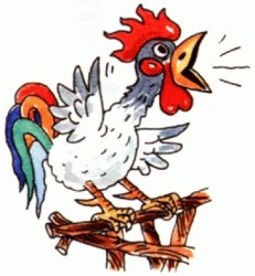 JPG Image, 40KB, 361px × 390px