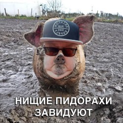 JPG Image, 31KB, 250px × 250px