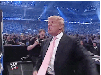 GIF Image, 700KB, 351px × 262px