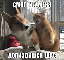 JPG Image, 81KB, 600px × 570px