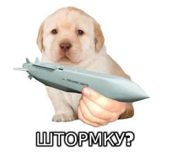 JPG Image, 61KB, 856px × 768px