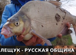 JPG Image, 101KB, 752px × 551px