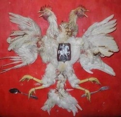 JPG Image, 75KB, 600px × 577px