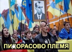 JPG Image, 86KB, 720px × 524px