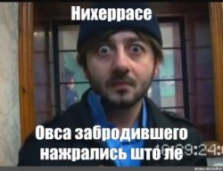JPG Image, 22KB, 320px × 247px