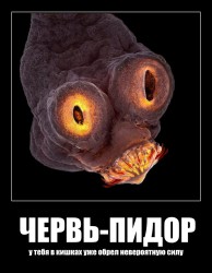 JPG Image, 124KB, 798px × 1026px