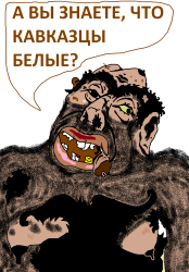 PNG Image, 157KB, 1003px × 1436px