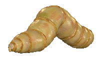 GIF Image, 1721KB, 550px × 330px