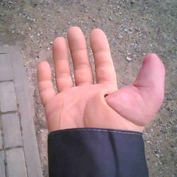 JPG Image, 580KB, 2000px × 2000px
