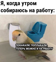 JPG Image, 229KB, 1180px × 1317px